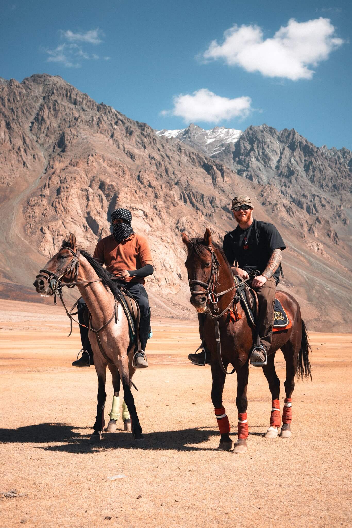 Horses standing together