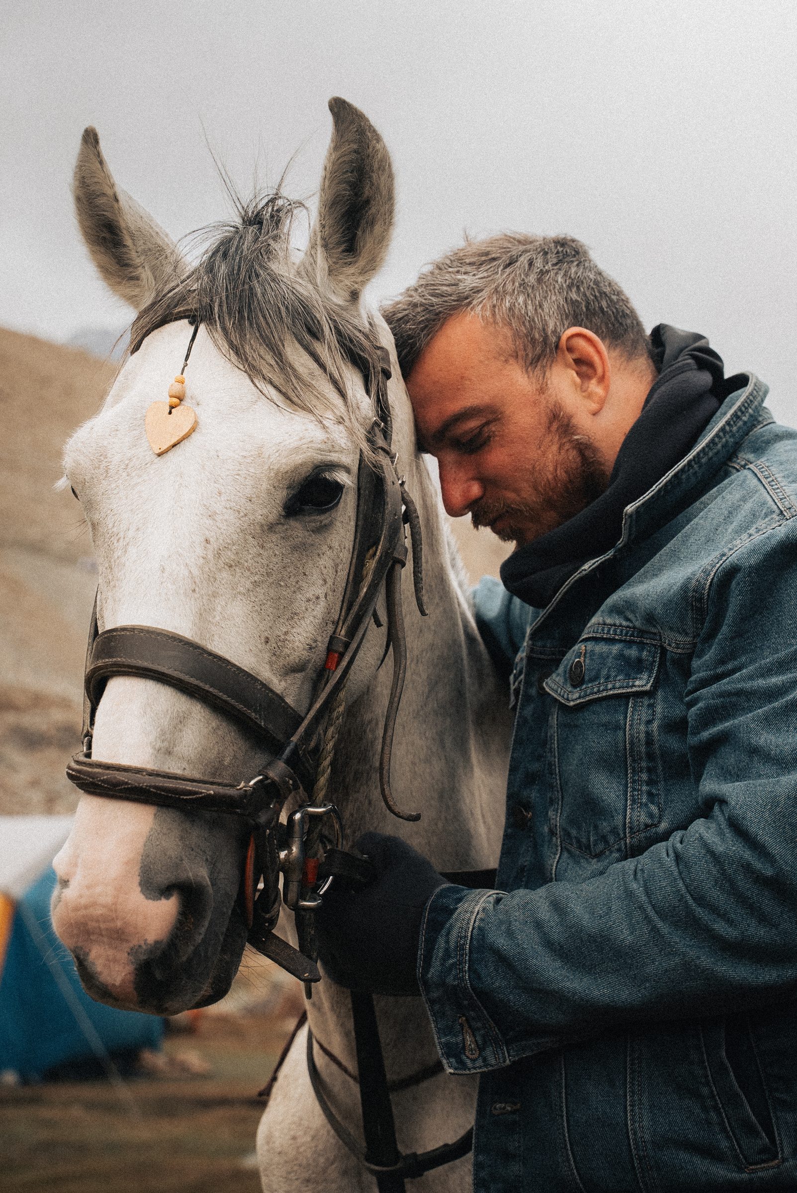Sami with a horse