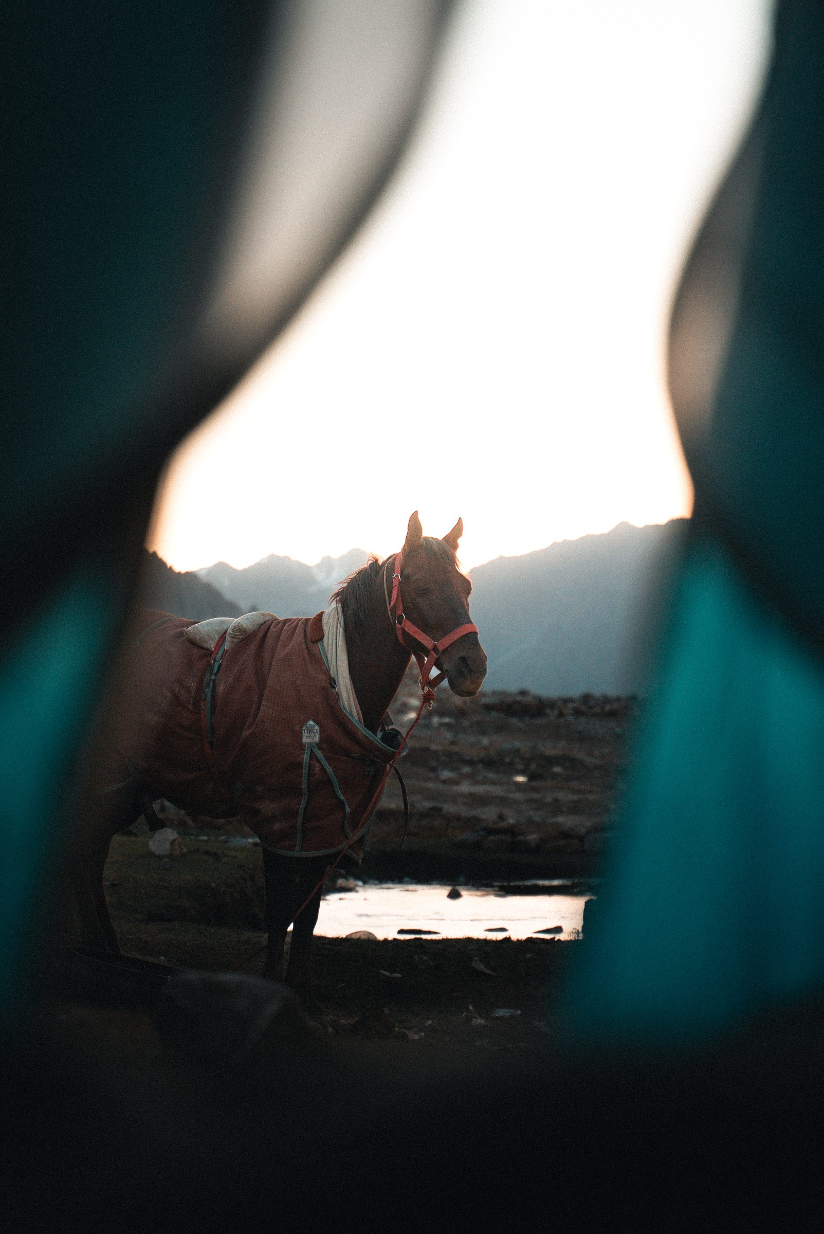 A tent pitched at camp